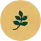 Green Cruise Certified