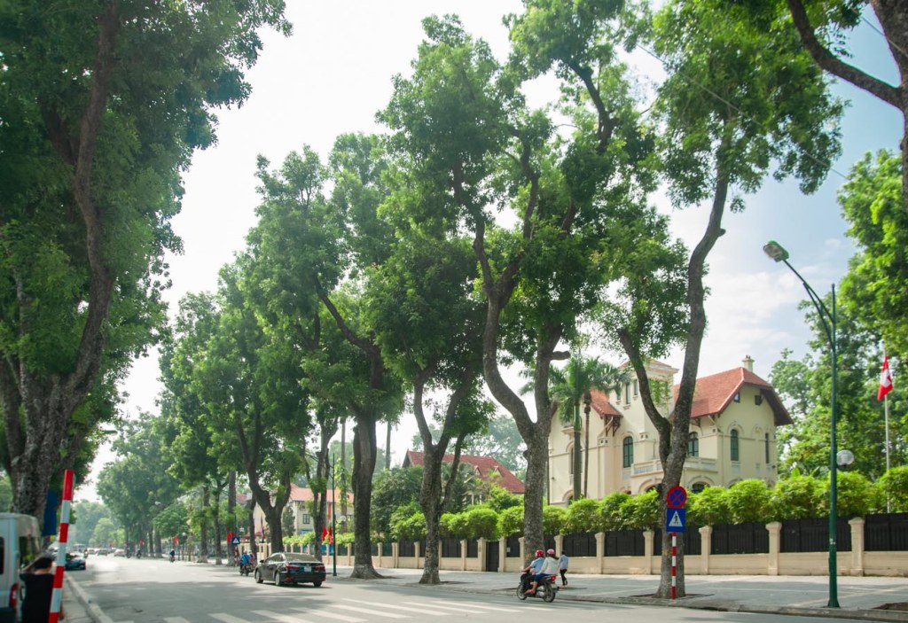 20a07006-3-1.jpg