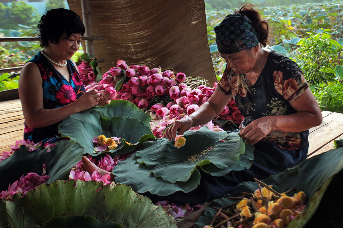 kienviet-ha-noi-binh-di-va-co-kinh-qua-goc-nhin-cua-nag-nguoi-anh-p1-34-1.png