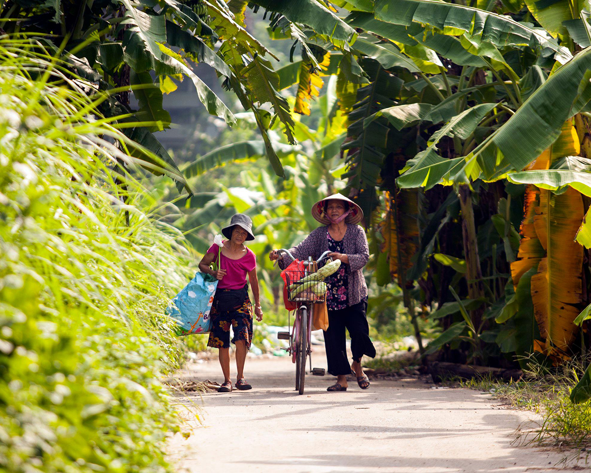 kienviet-ha-noi-binh-di-va-co-kinh-qua-goc-nhin-cua-nag-nguoi-anh-p1-35-1.png